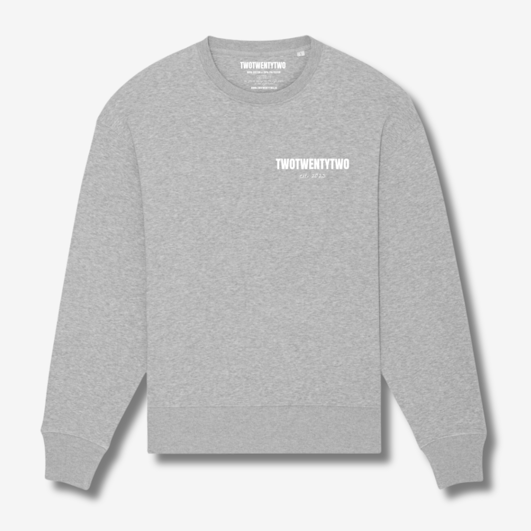 ALIGNMENT oversized sweatshirt